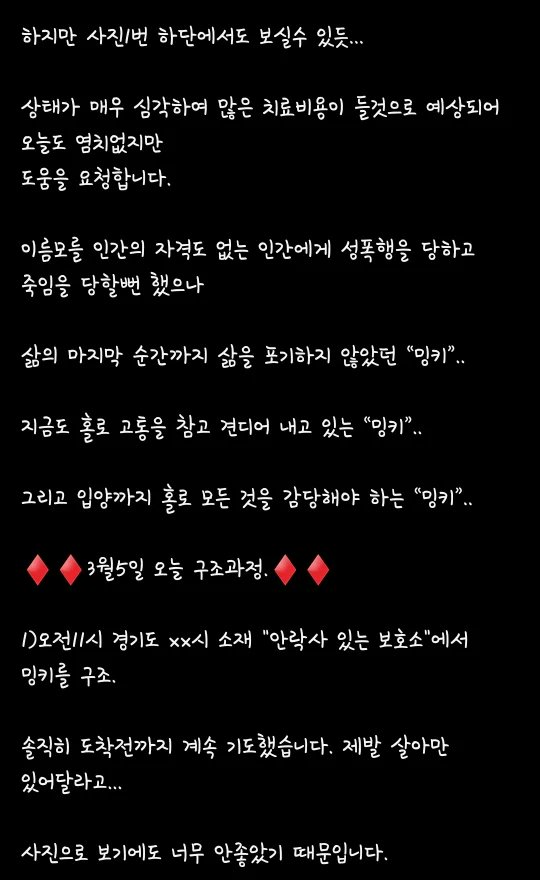 김포에 강아지, 고양이 ㅅㅍㅎ하고 다니는 인간이 있다고 함 | 인스티즈