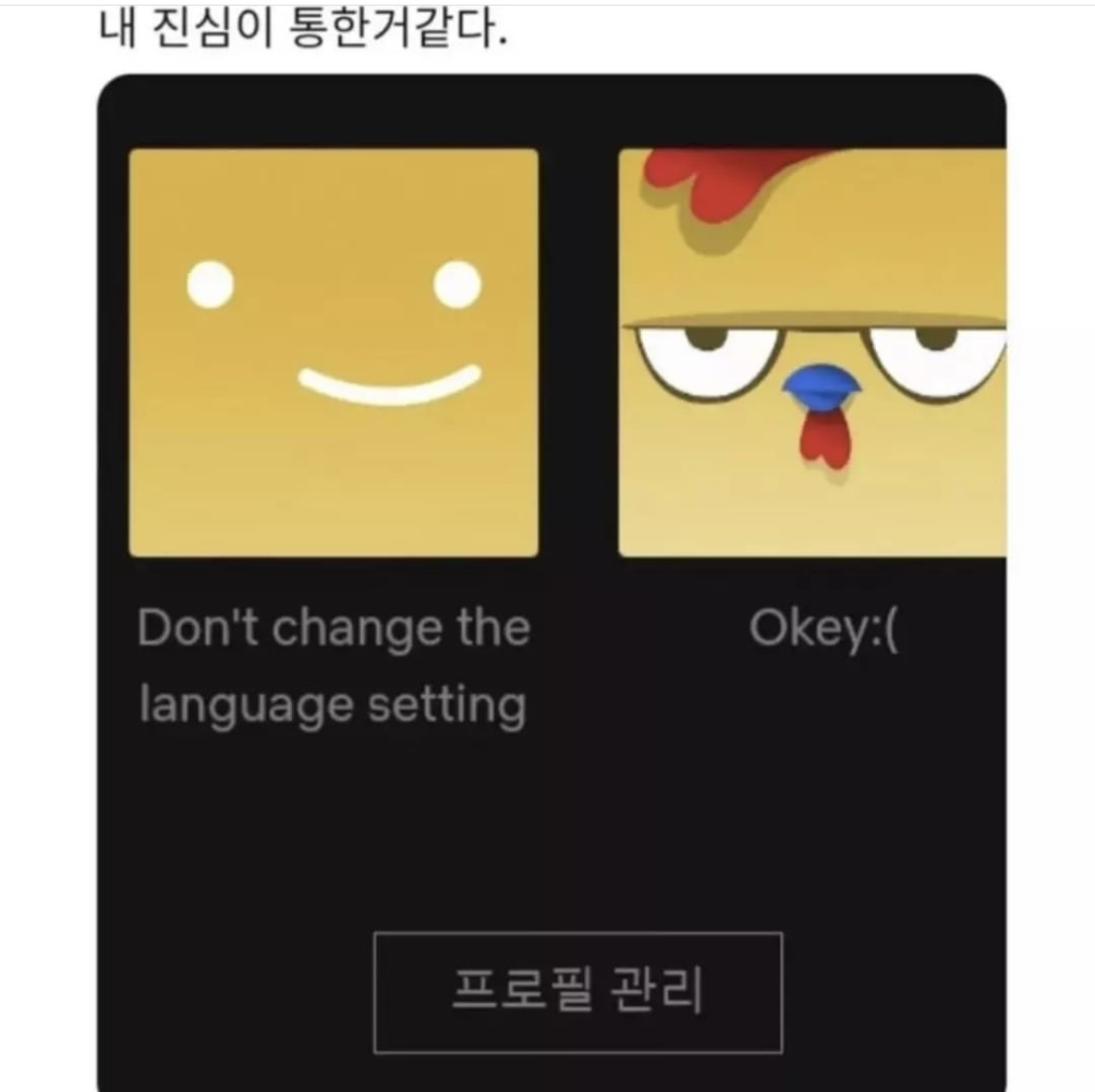 해킹 당한 넷플계정주 천사임? | 인스티즈