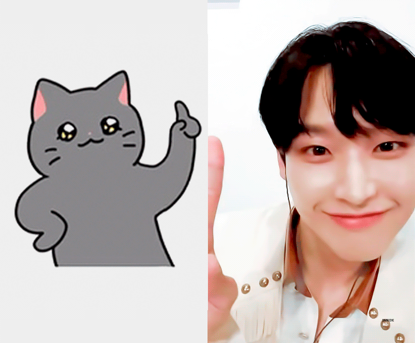 김인성 진짜 이 고양이랑 똑같앸ㅋㅋㅋㅋㅋㅋㅋ | 인스티즈