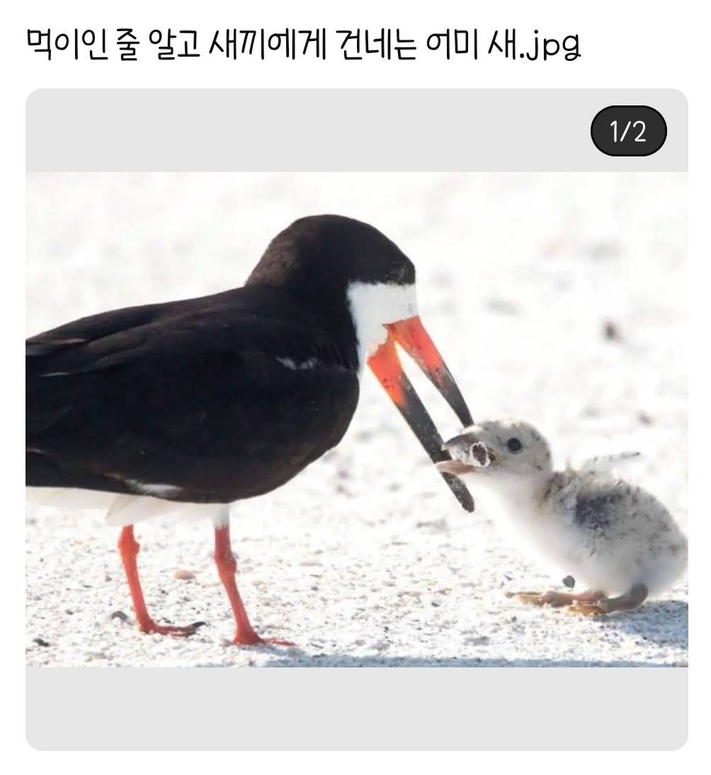 보자마자 욕나오는 짤 | 인스티즈