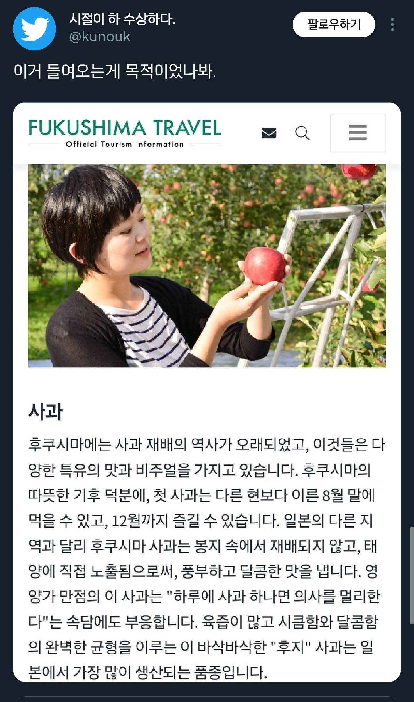 [단독] 물가 폭등에···'일본산 사과 수입' 내부 검토 | 인스티즈