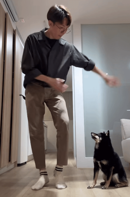 강아지한테 하이디라오 댄스 가르치는 쉬운 방법.gif | 인스티즈