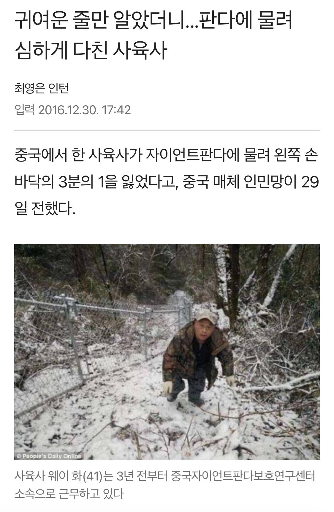 한국인들이 푸바오패밀리 때문에 판다에 대해 잘못 알고 있는 것.jpg | 인스티즈