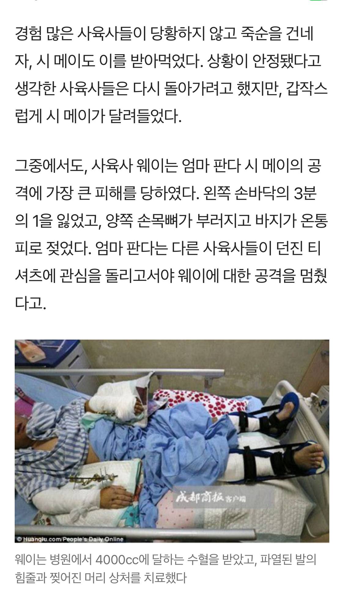 한국인들이 푸바오패밀리 때문에 판다에 대해 잘못 알고 있는 것.jpg | 인스티즈