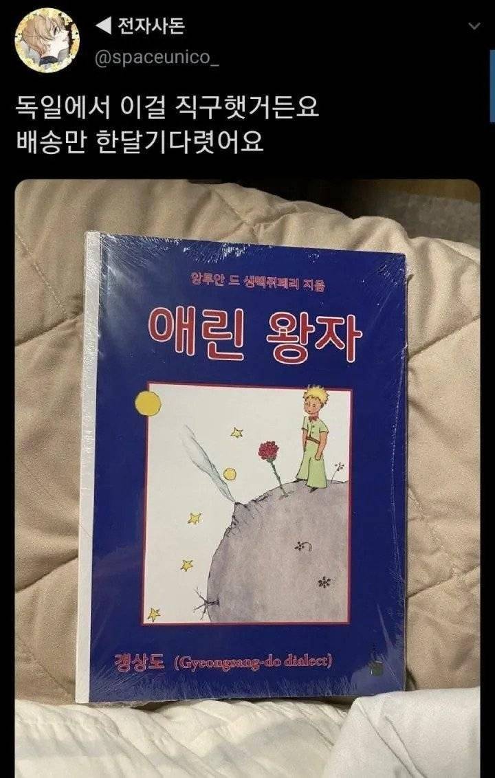 어느 한국인이 독일에서 직구한 책 | 인스티즈