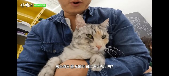 기안84네 사무실에서 기르는 고양이 '애옹이'의 하루 | 인스티즈