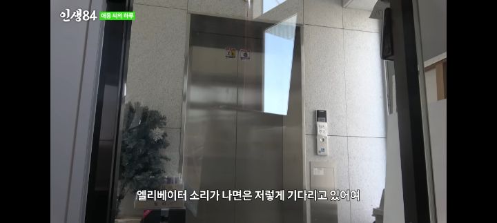 기안84네 사무실에서 기르는 고양이 '애옹이'의 하루 | 인스티즈