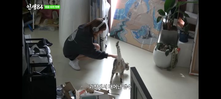 기안84네 사무실에서 기르는 고양이 '애옹이'의 하루 | 인스티즈