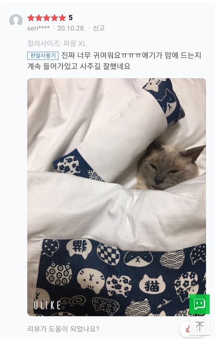 고양이 이불구매 후기.jpg | 인스티즈