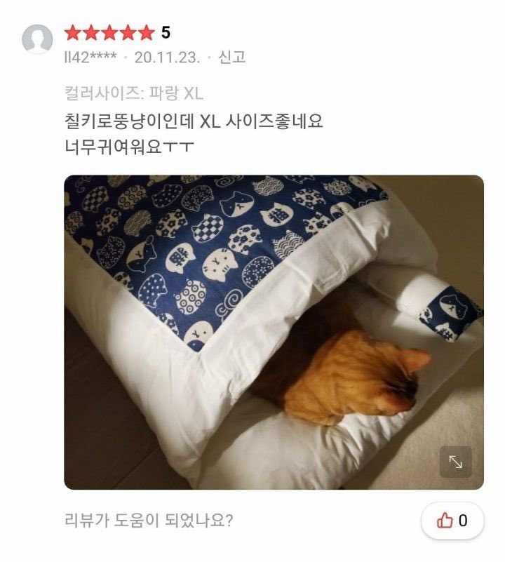 고양이 이불구매 후기.jpg | 인스티즈