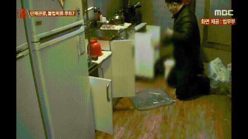 집안에서 불법체류자 찾는법 | 인스티즈