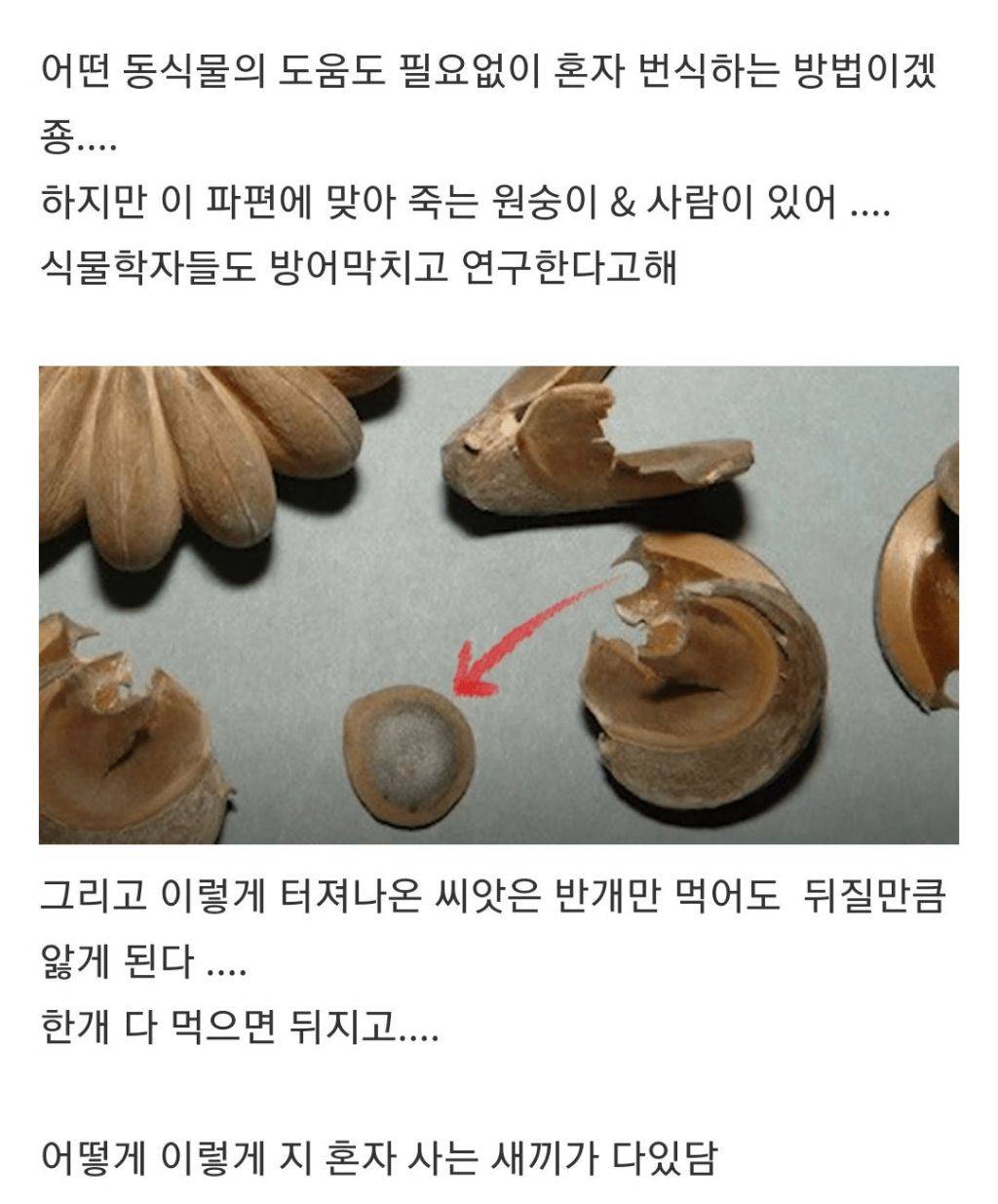 악의로 똘똘 뭉친 나무 | 인스티즈