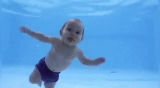 미국에서 신생아 수영 훈련할때 아기를 풍덩 던지는 이유 | 인스티즈
