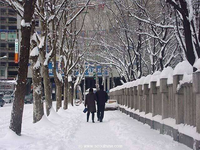2000년대 초반 서울의 겨울 | 인스티즈