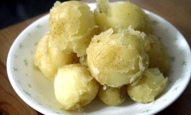찐 감자에 소금 vs 설탕 | 인스티즈
