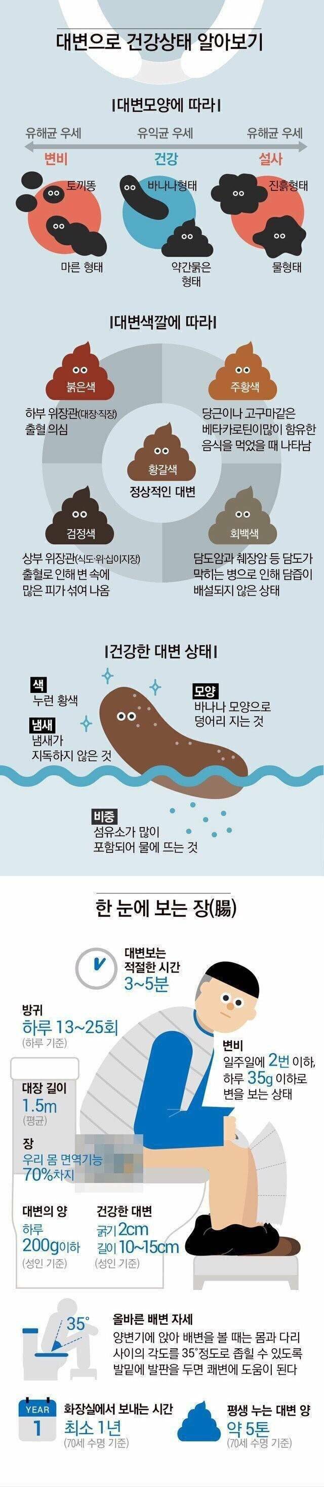 대변으로 보는 건강상태.jpg | 인스티즈