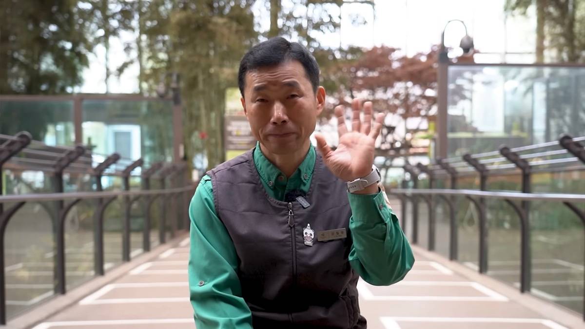 강바오가 중국 사육사에게 보내는 영상편지 (오열주의) | 인스티즈