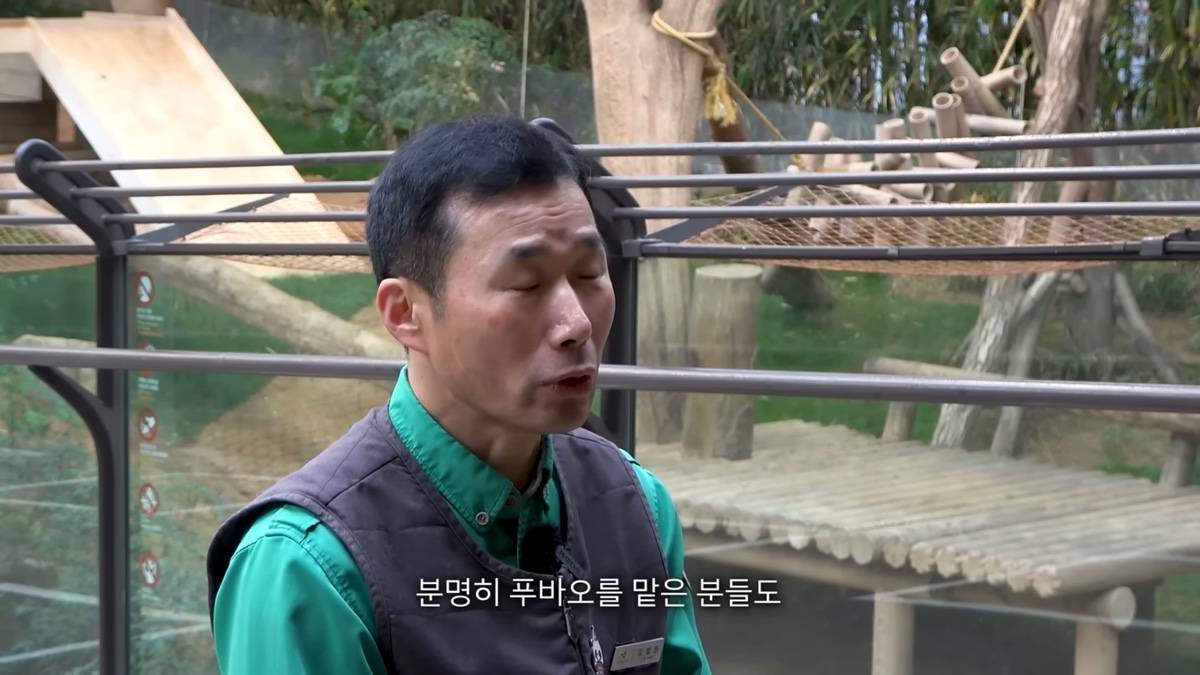 강바오가 중국 사육사에게 보내는 영상편지 (오열주의) | 인스티즈
