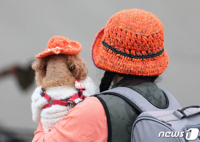 2023 서울 반려동물 한마당 축제 "댕댕이 패션런" | 인스티즈