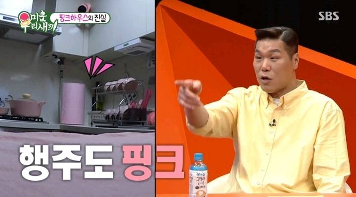 어느날 내집이 온통 핑크색으로 바뀌었다 | 인스티즈