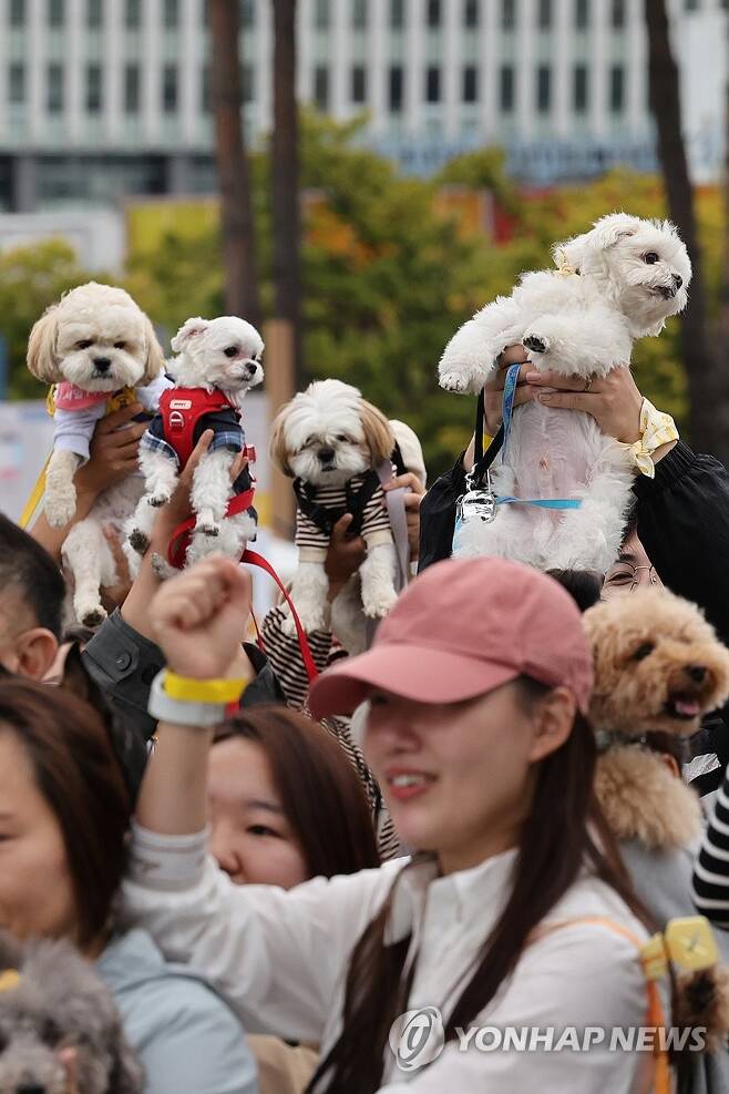 2023 서울 반려동물 한마당 축제 "댕댕이 패션런" | 인스티즈
