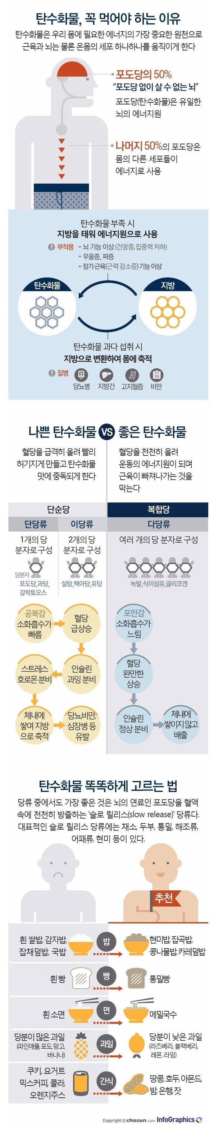 탄수화물 꼭 먹어야 하는 이유 | 인스티즈