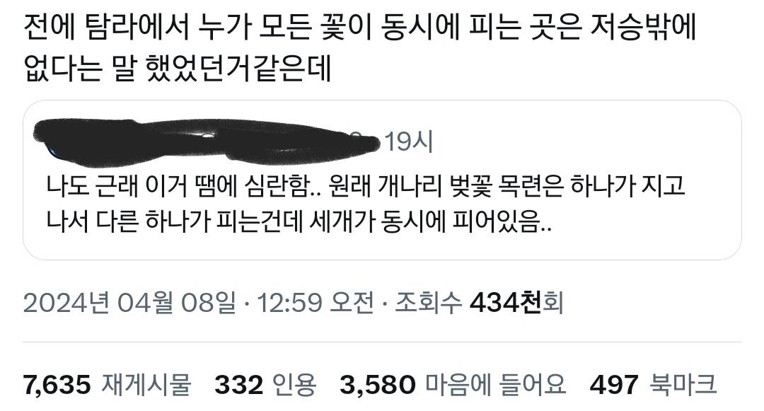 목련과 개나리와 벚꽃이 함께 피는 거 사실 이상한 건데 다들 익숙해진 듯.twt | 인스티즈