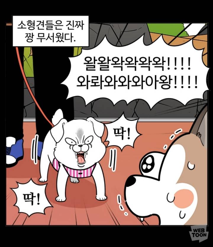 웹툰으로 정리해보는 용맹한 소형견들ㅋㅋㅋ | 인스티즈