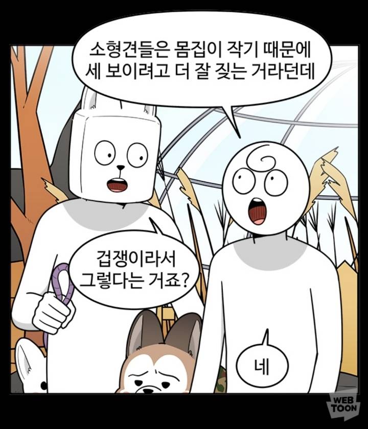 웹툰으로 정리해보는 용맹한 소형견들ㅋㅋㅋ | 인스티즈