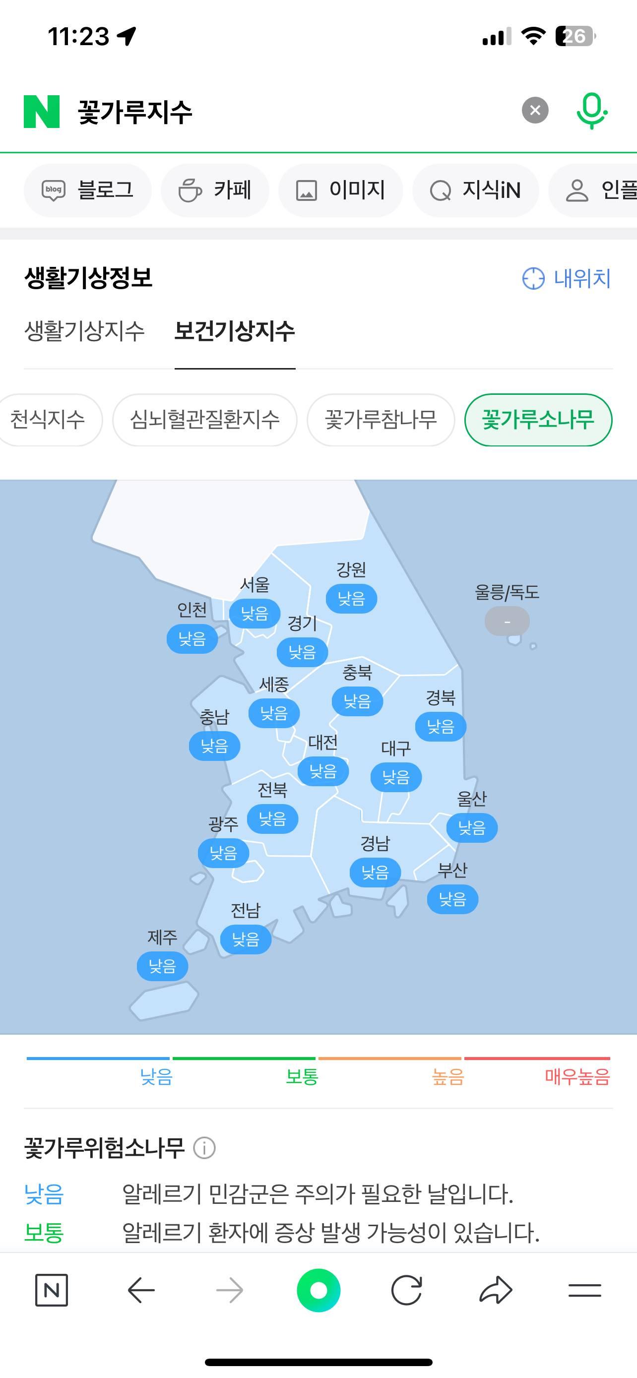 매년 4월~5월 네이버에 꽃가루지수 검색해야하는 이 유 | 인스티즈