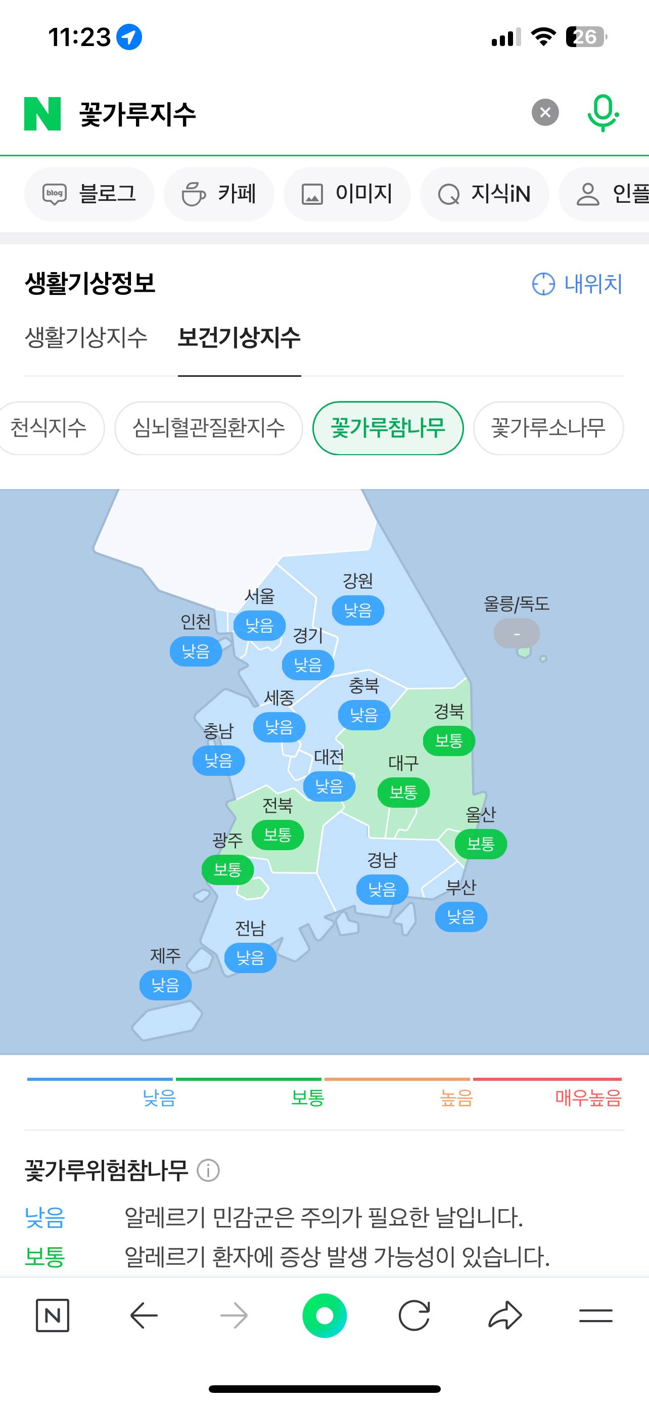 매년 4월~5월 네이버에 꽃가루지수 검색해야하는 이 유 | 인스티즈