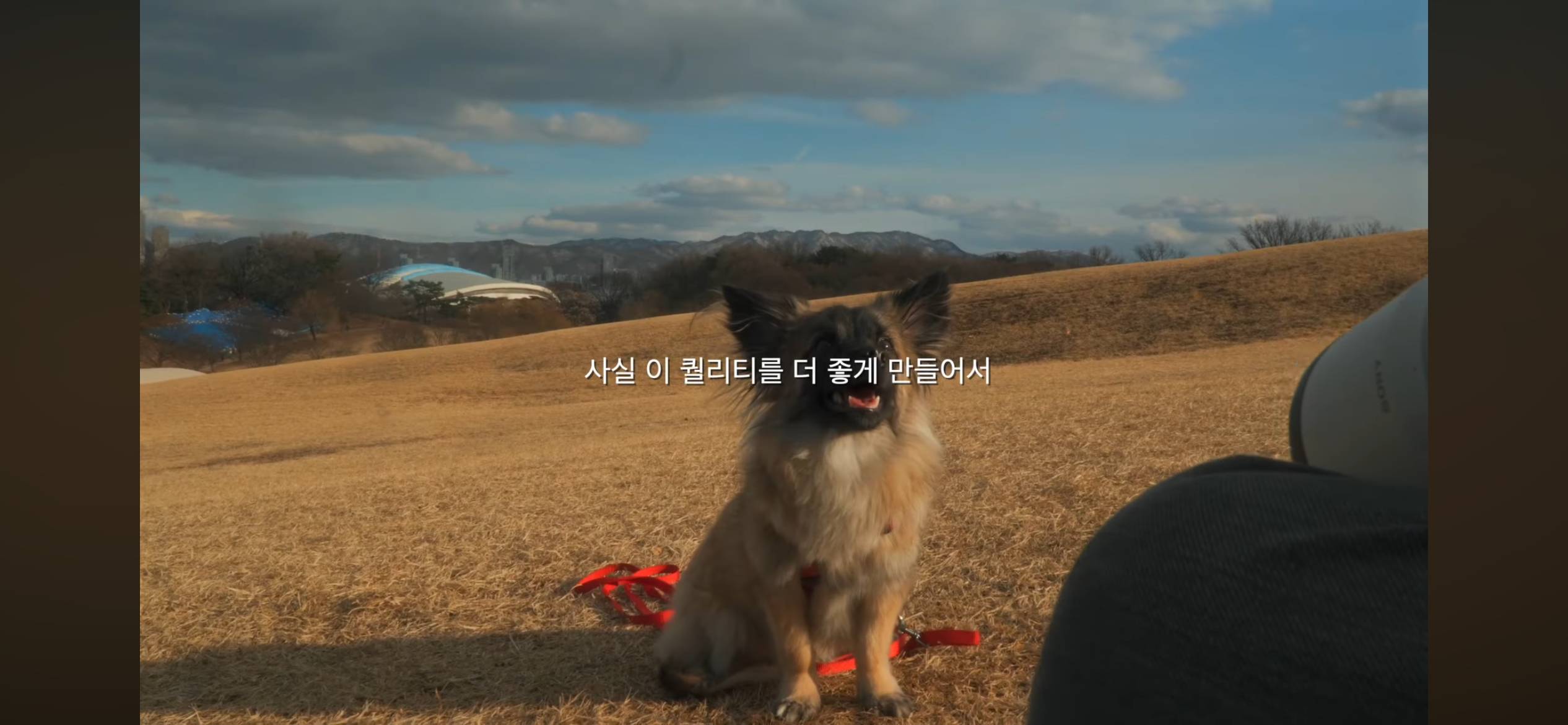 개팔이 업자 등등 각종 논란 해명하는 못생긴 노을이 채널 주인 | 인스티즈