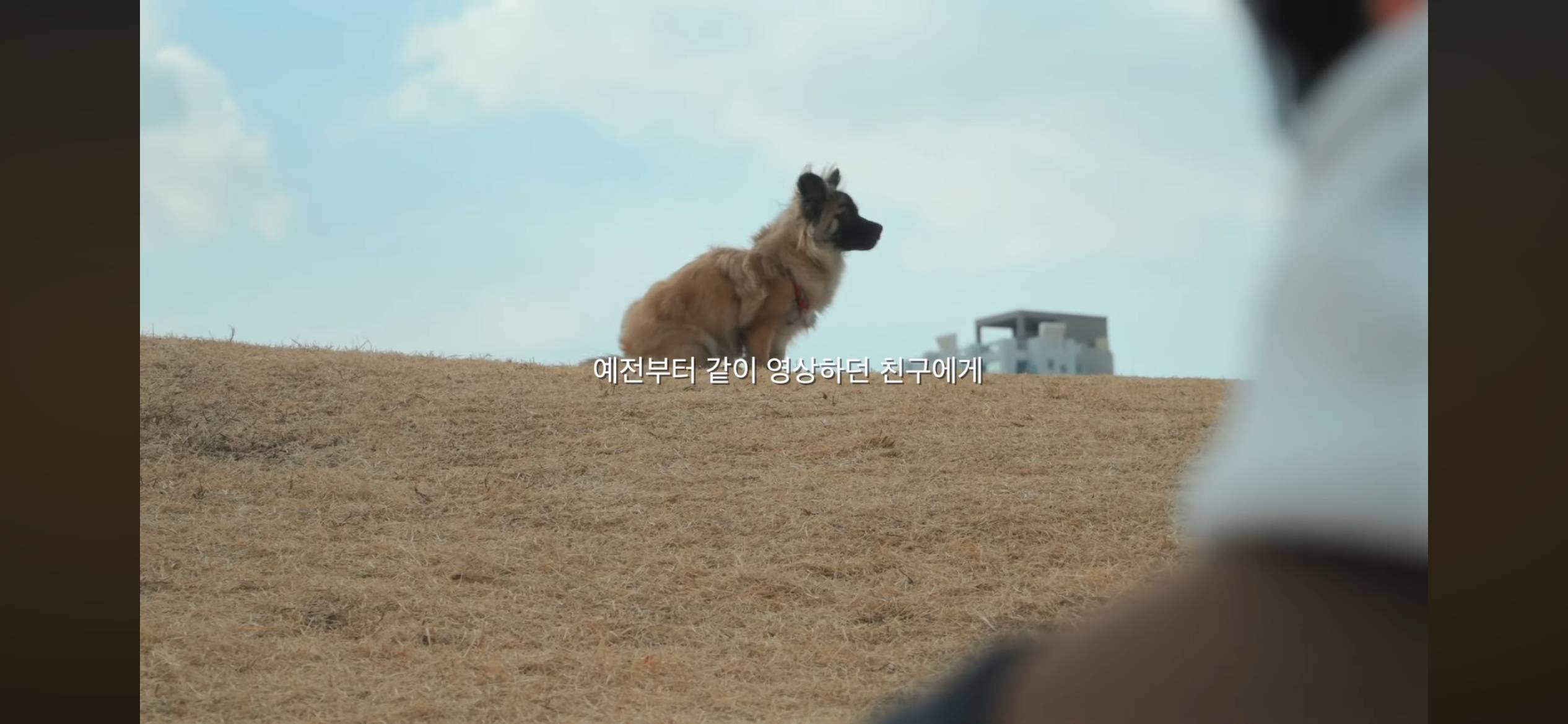 개팔이 업자 등등 각종 논란 해명하는 못생긴 노을이 채널 주인 | 인스티즈