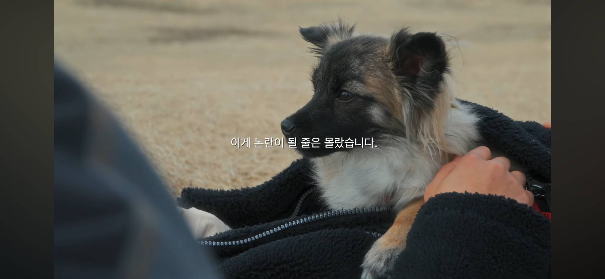 개팔이 업자 등등 각종 논란 해명하는 못생긴 노을이 채널 주인 | 인스티즈