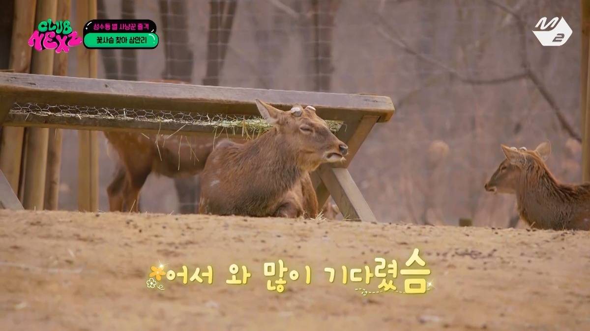서울숲에 사슴있는거 앎? | 인스티즈