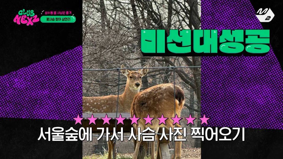 서울숲에 사슴있는거 앎? | 인스티즈