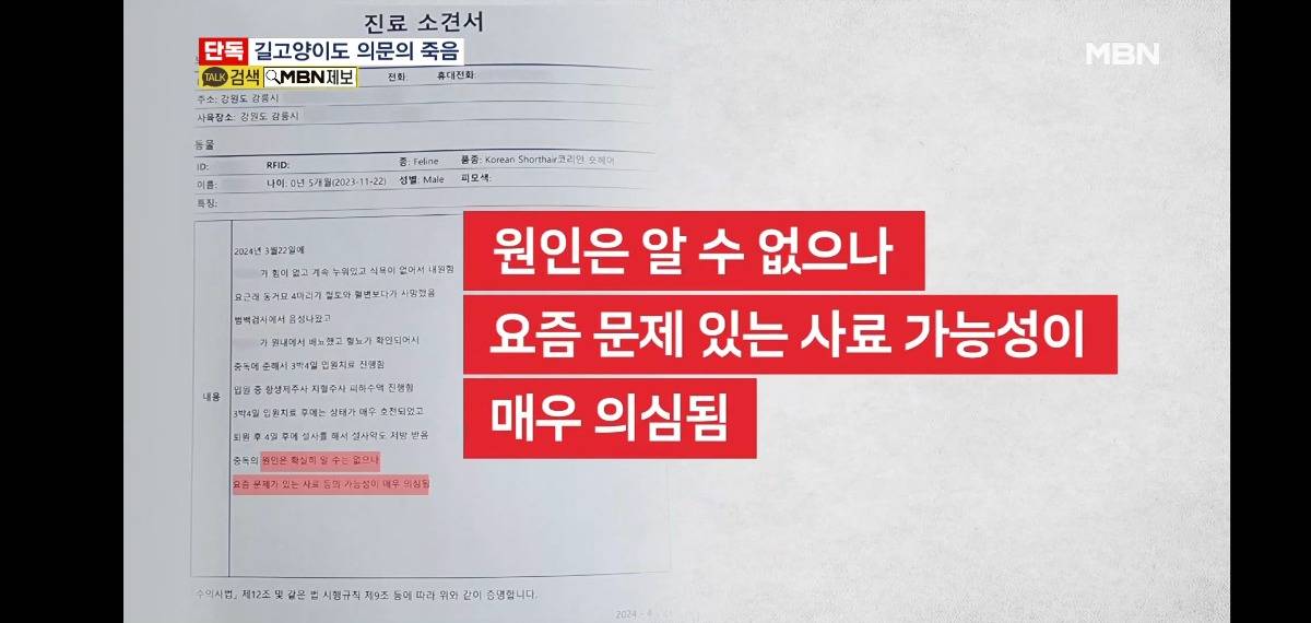 길고양이도 잇단 폐사.. 캣맘이 준 사료 추적해보니 | 인스티즈