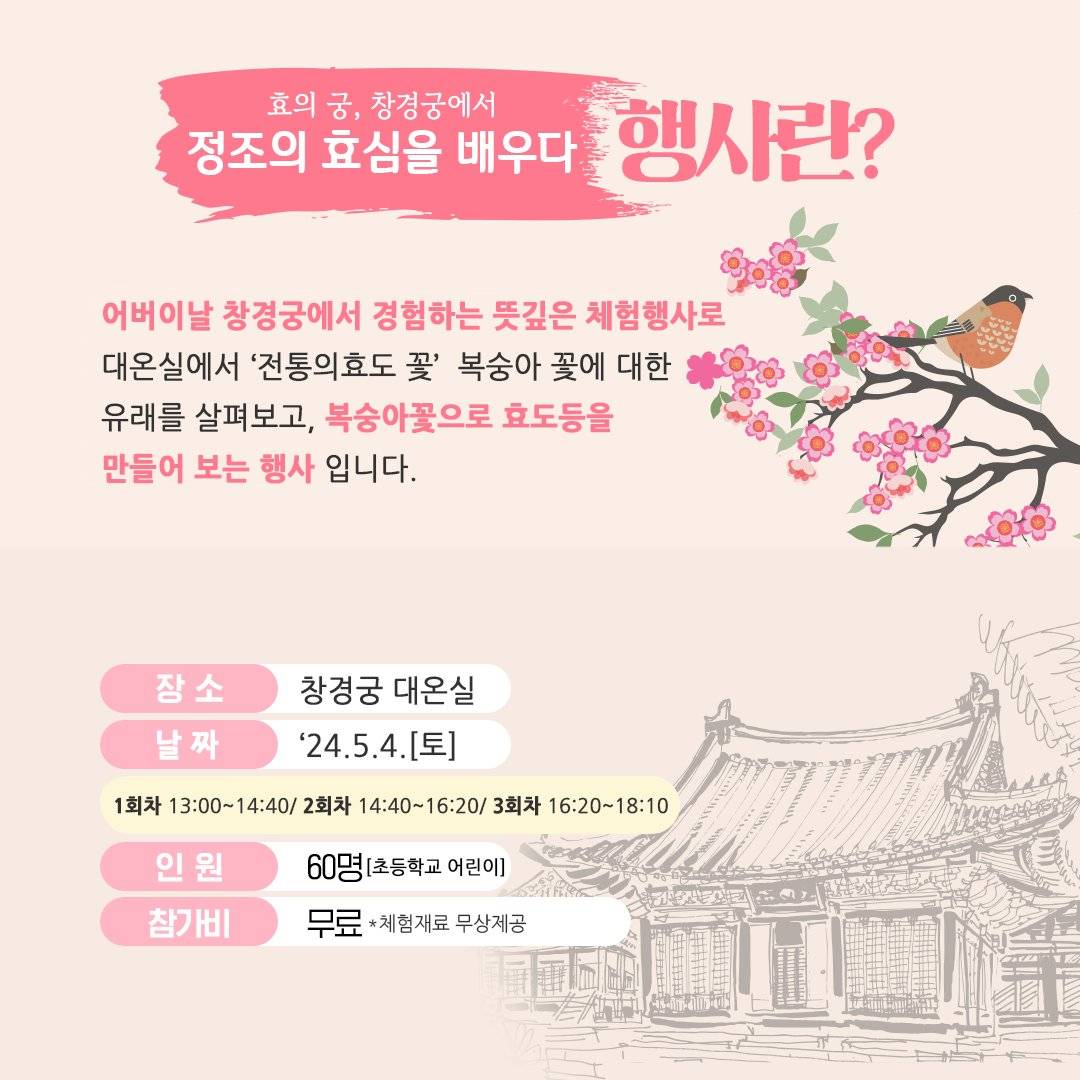 카네이션 말고 한국의 전통 효도 꽃 | 인스티즈