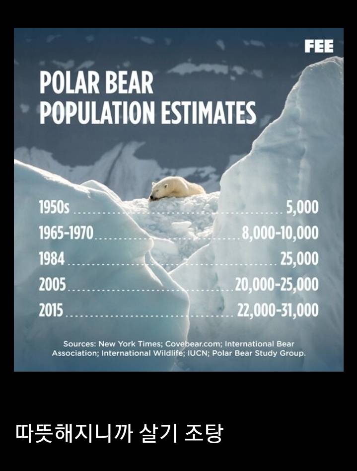 충격적인 북극곰 개체수 근황 | 인스티즈
