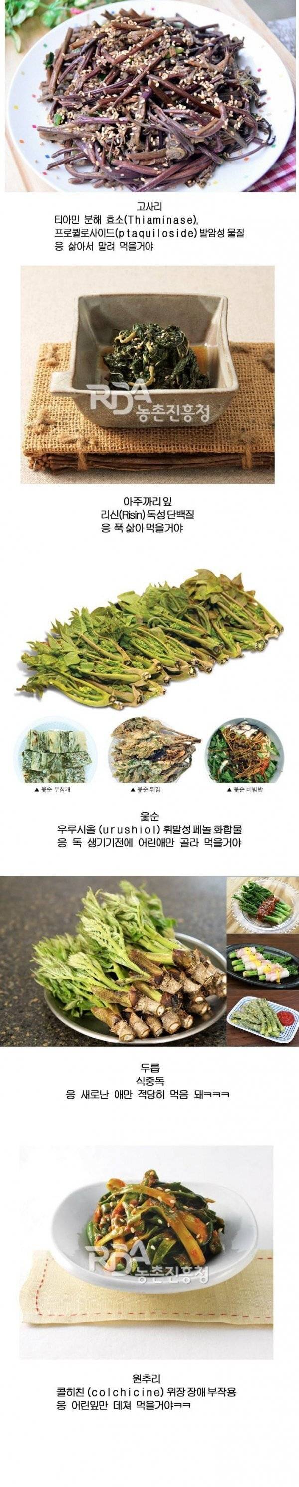 독초를 맛있게 먹는 한국인.jpg | 인스티즈