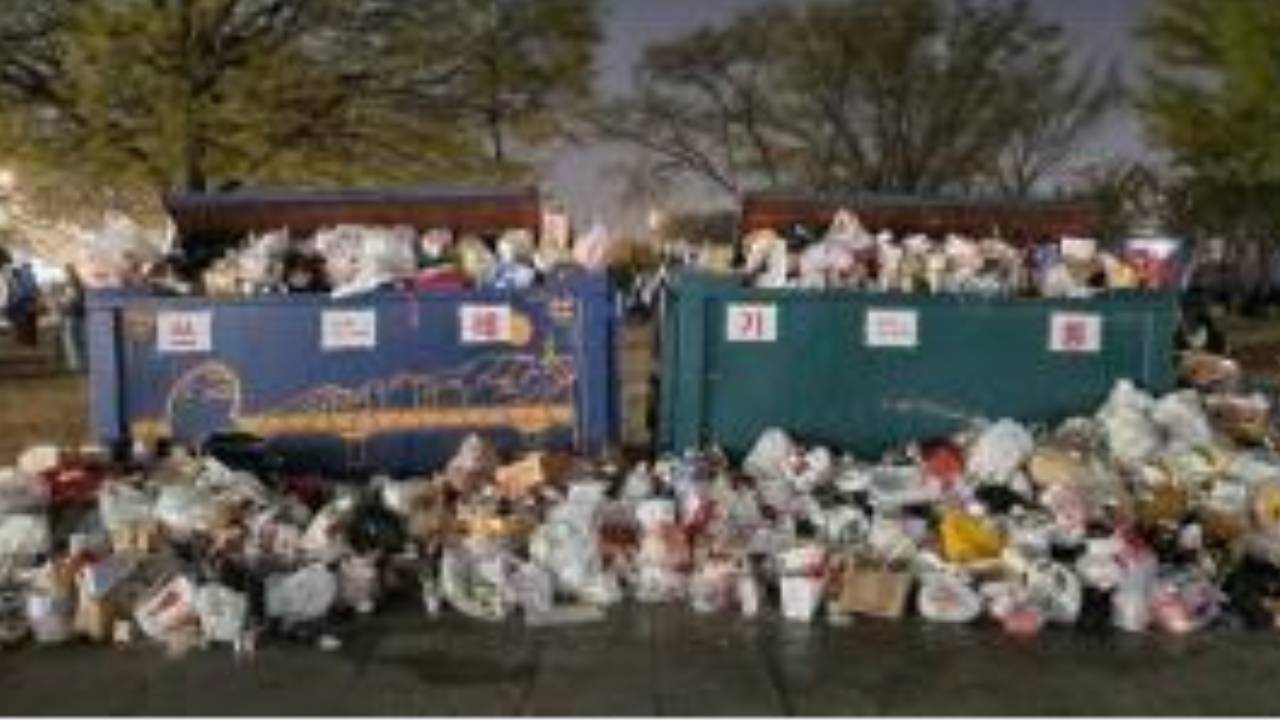 벚꽃축제 기간에 나온 쓰레기만 101톤... 한강서 '100L 쓰레기봉투' 퇴출 | 인스티즈