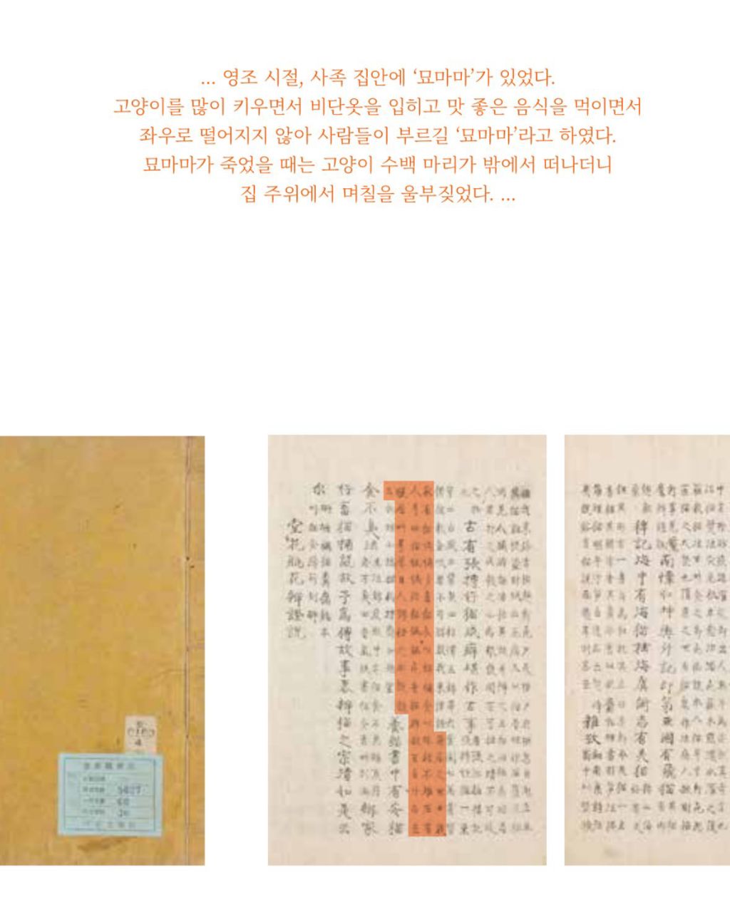 조선시대에는 캣맘을 '묘마마' 라고 칭했다네요 | 인스티즈
