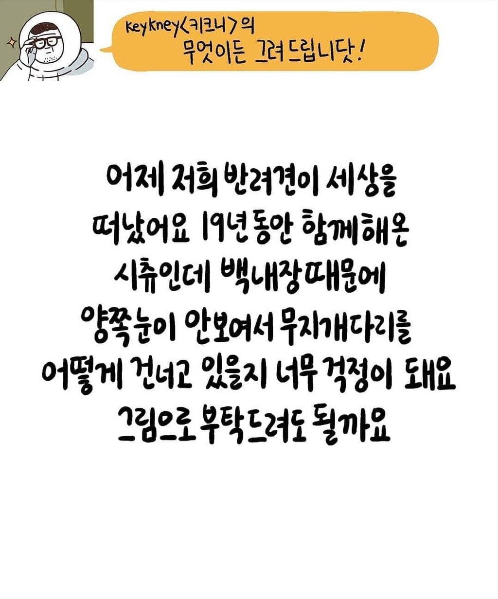 저희 반려견이 세상을 떠났어요... | 인스티즈