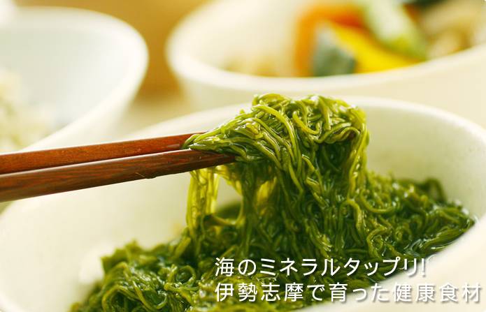 일본인들이 좋아하는 식감 .jpg | 인스티즈