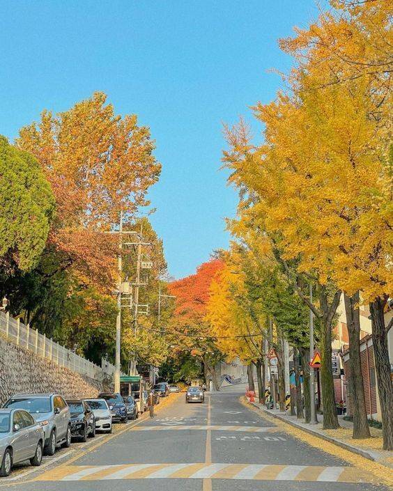 한국의 도시미관 거리미관 사진들 | 인스티즈