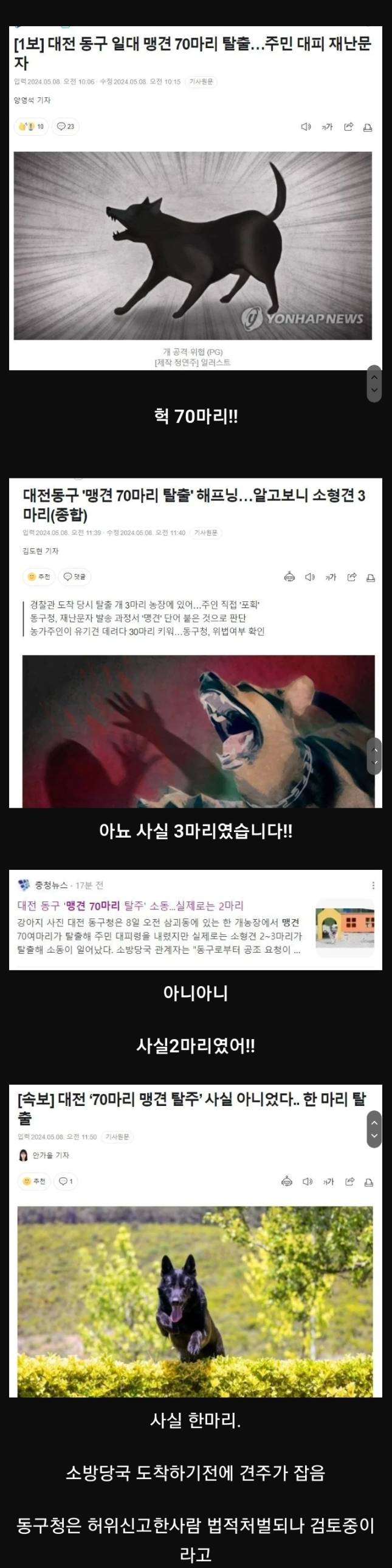 대전 70마리 맹견 탈출 사건 근황의 근황 | 인스티즈