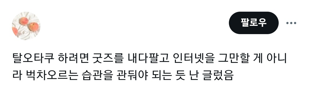 @탈오타쿠 하려면 굿즈를 내다팔고 인터넷을 그만할 게 아니라 벅차오르는 습관을 관둬야 되는 듯 난 글렀음 | 인스티즈