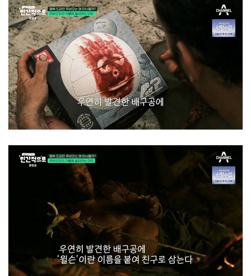 이동진 평론가 "푸바오에 슬퍼하는 사람들을 함부로 폄하해서는 안된다" | 인스티즈