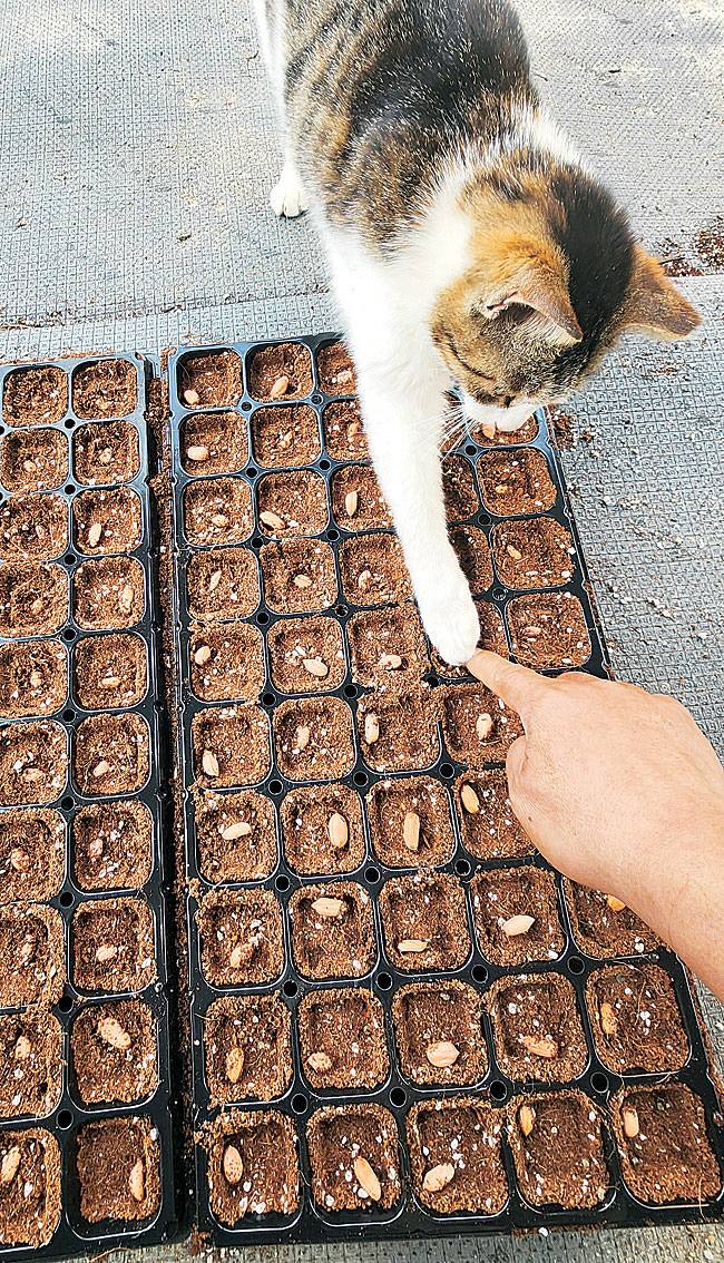 바쁜 농사철… 고양이 손이라도 빌려 볼까[포토에세이] | 인스티즈