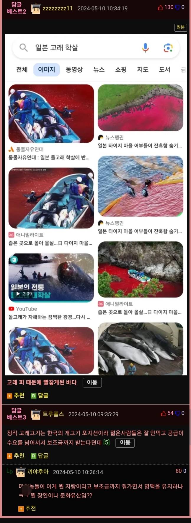 멸종해가는 고래 때문에 곤란해진 일본 근황 | 인스티즈